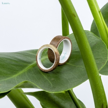 kauri.