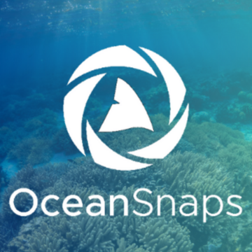 OceanSnaps @ reflecta.network
